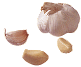 kratiem
